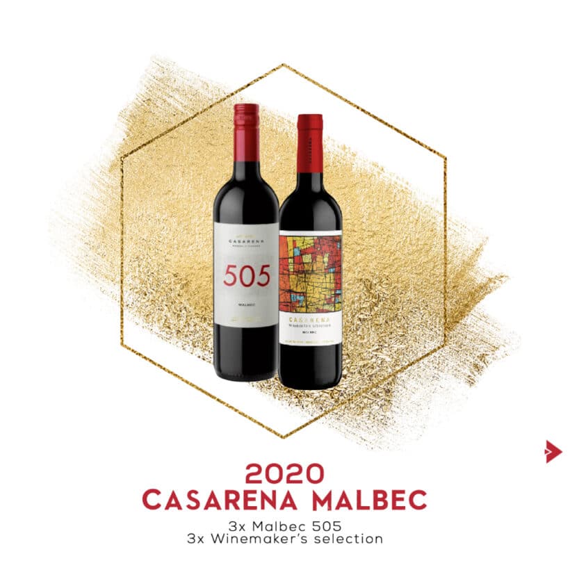 Casarena 2020 Malbec
