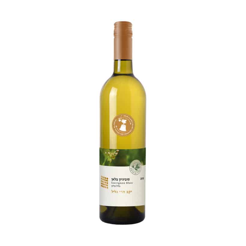 Galil Mountain Winery Sauvignon Blanc