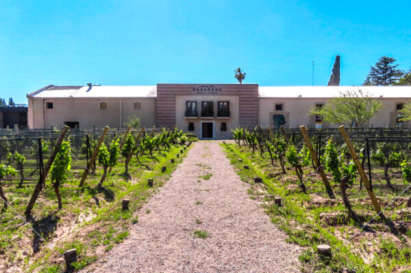 Casarena wijngaard en proeverijlokaal
